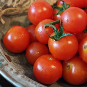 Tomate ‘Miel du Mexique’ BIO