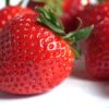 strawberry-gf25dab6ff_1280