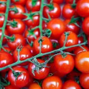 Tomate ‘Cerise rouge’ BIO