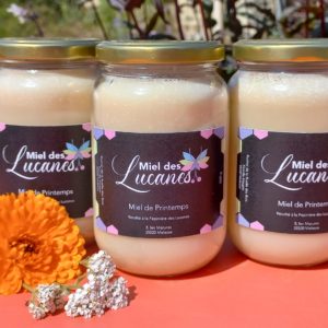 Miel de printemps