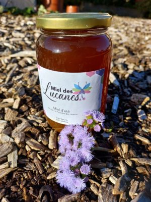 Miel des Lucanes été