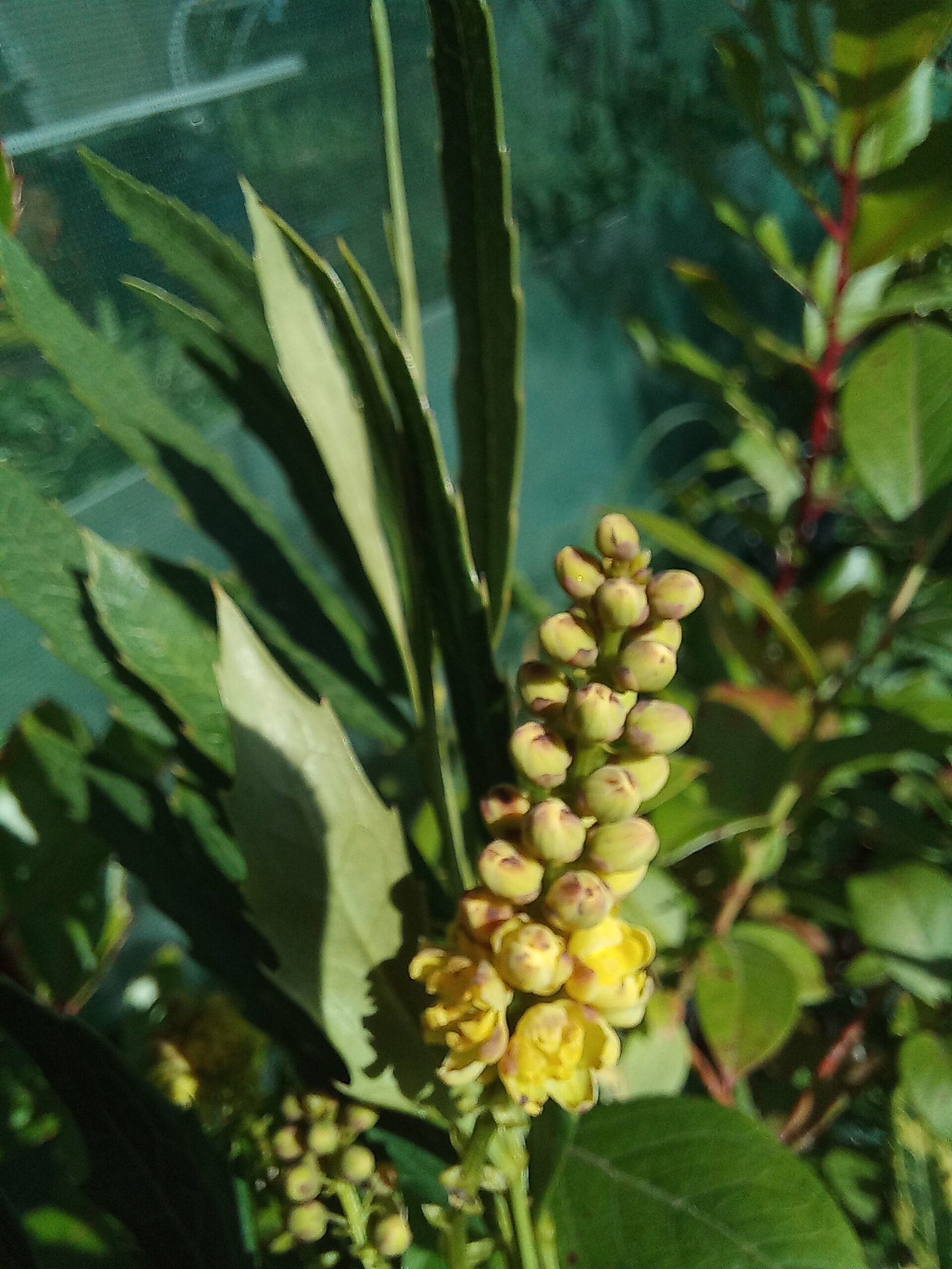 2025/09/1000035726-scaled.jpg 2025/09/1000035726-scaled.jpg