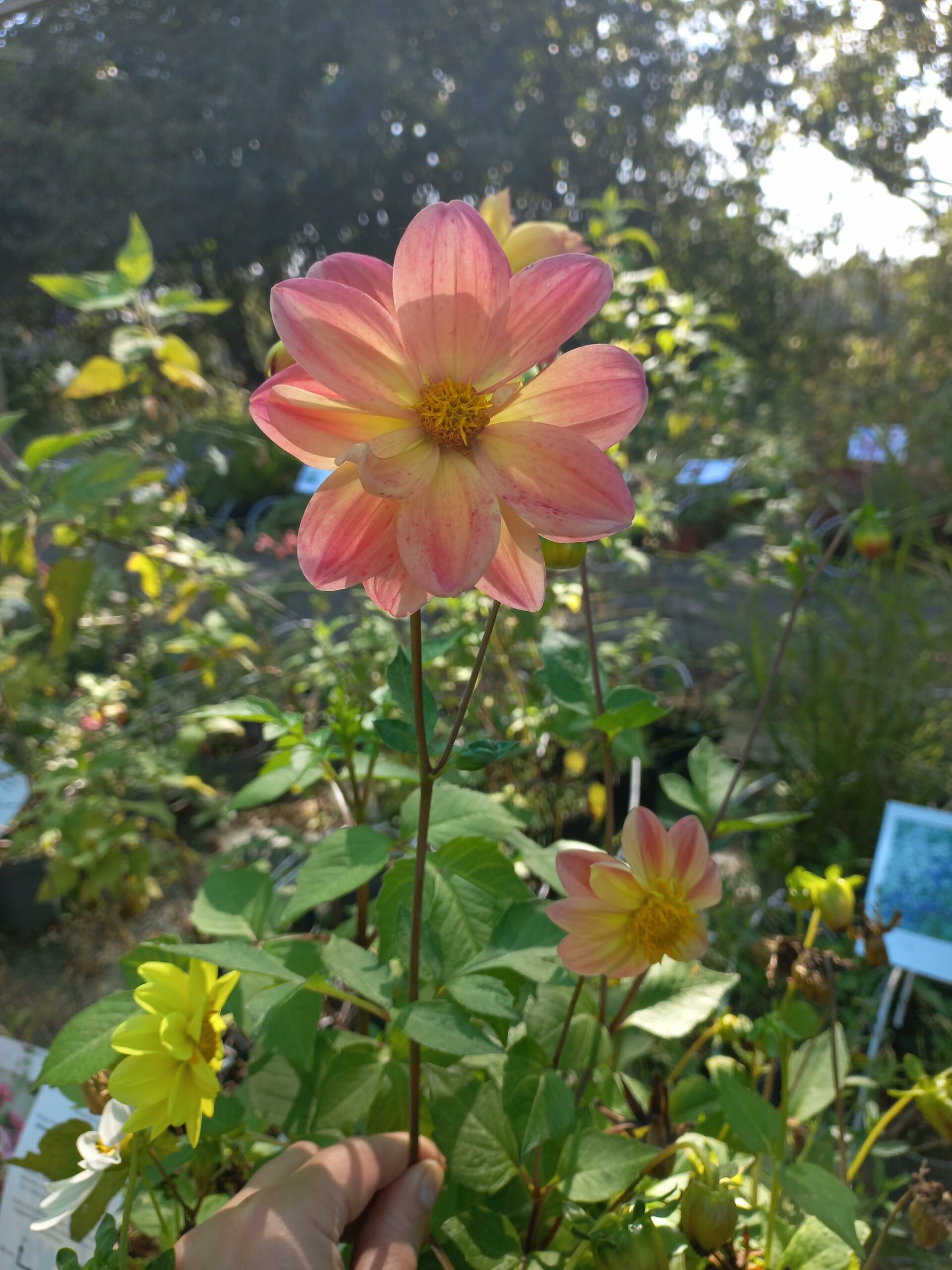 2025/09/JPEG_20250919_151502_2784426108323966455-scaled.jpg 2025/09/JPEG_20250919_151502_2784426108323966455-scaled.jpg