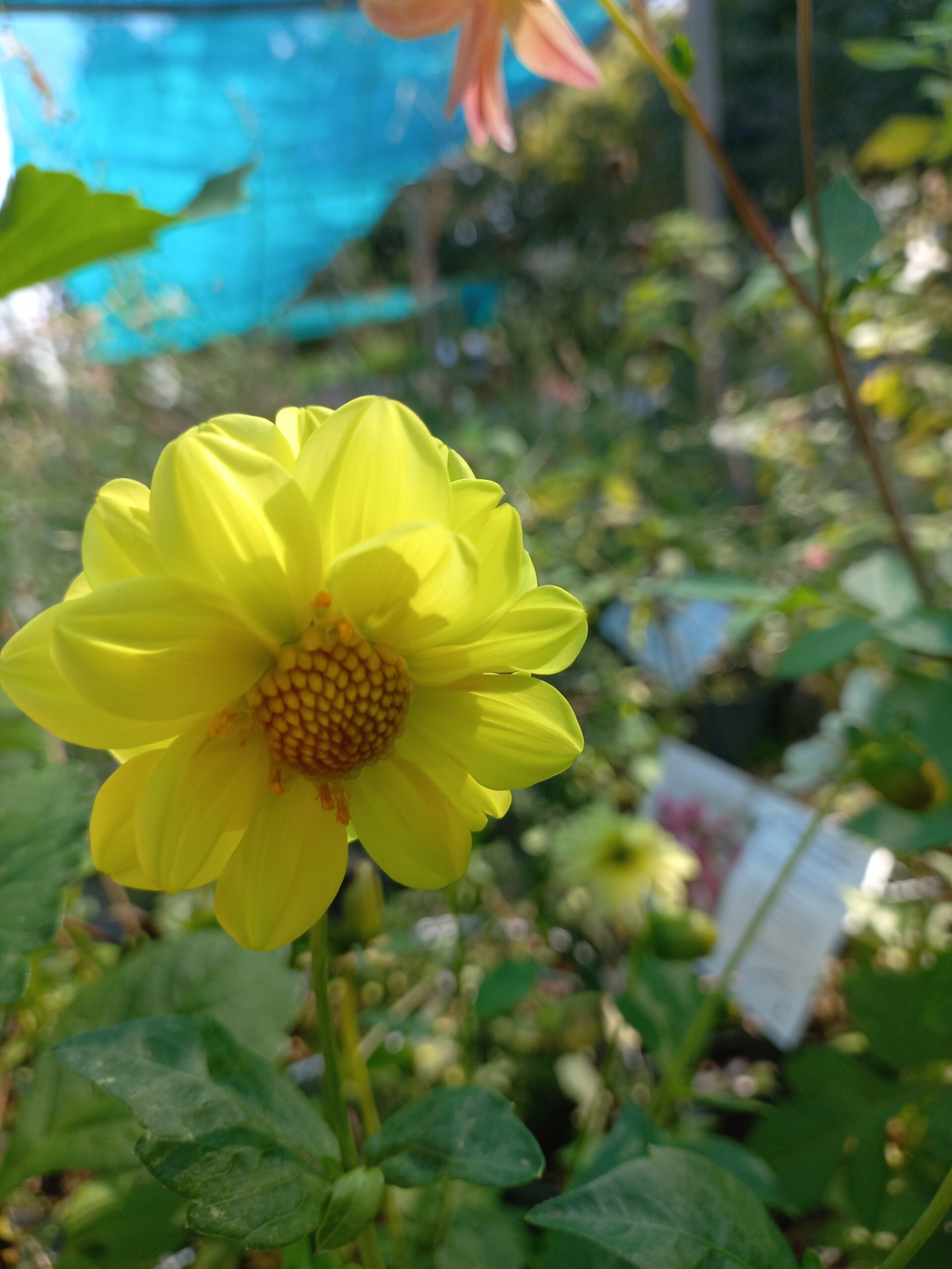 2025/09/JPEG_20250919_151612_8811926490178822295-scaled.jpg 2025/09/JPEG_20250919_151612_8811926490178822295-scaled.jpg