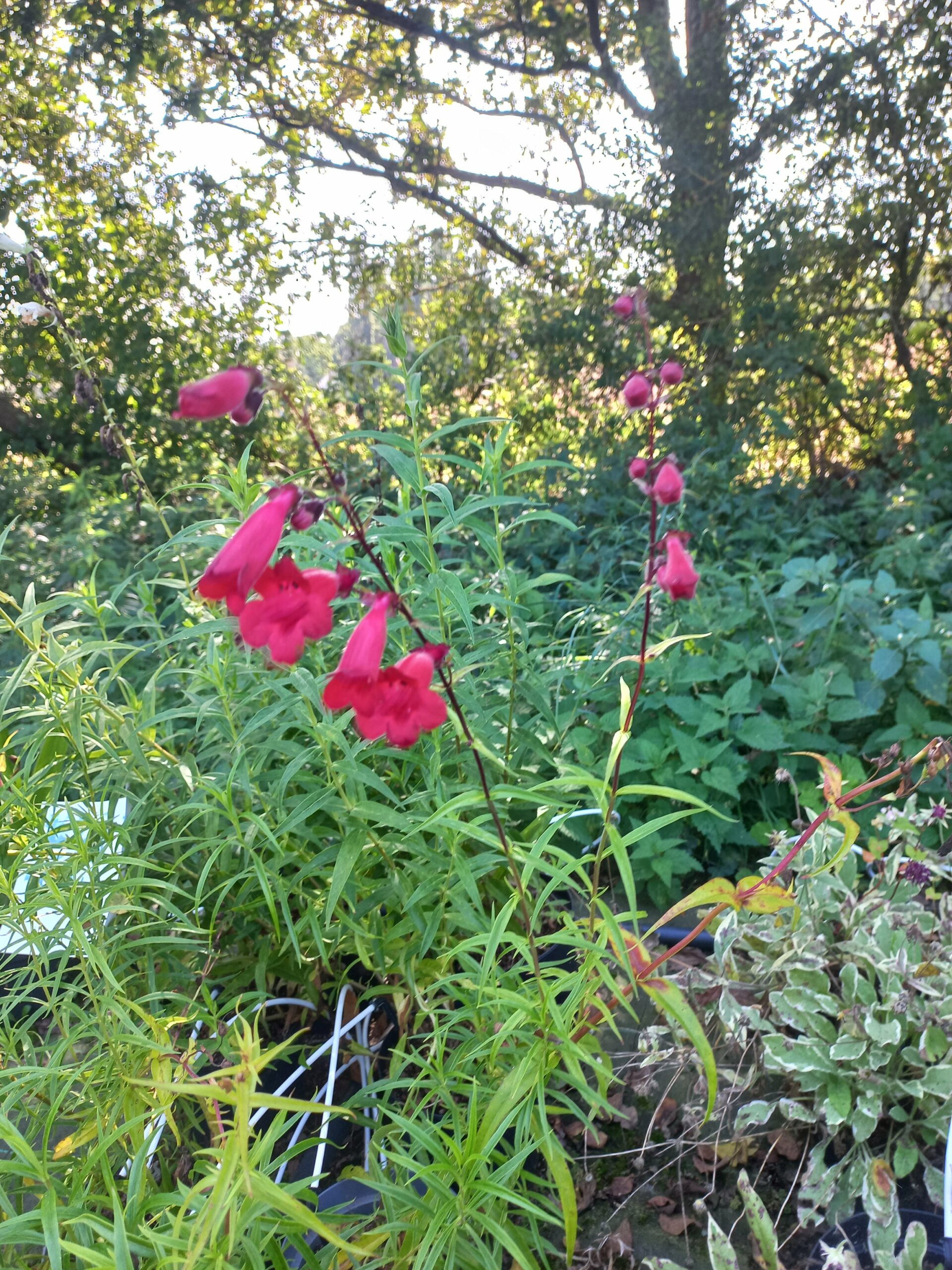 2025/09/JPEG_20250919_151821_385909587244302695-scaled.jpg 2025/09/JPEG_20250919_151821_385909587244302695-scaled.jpg