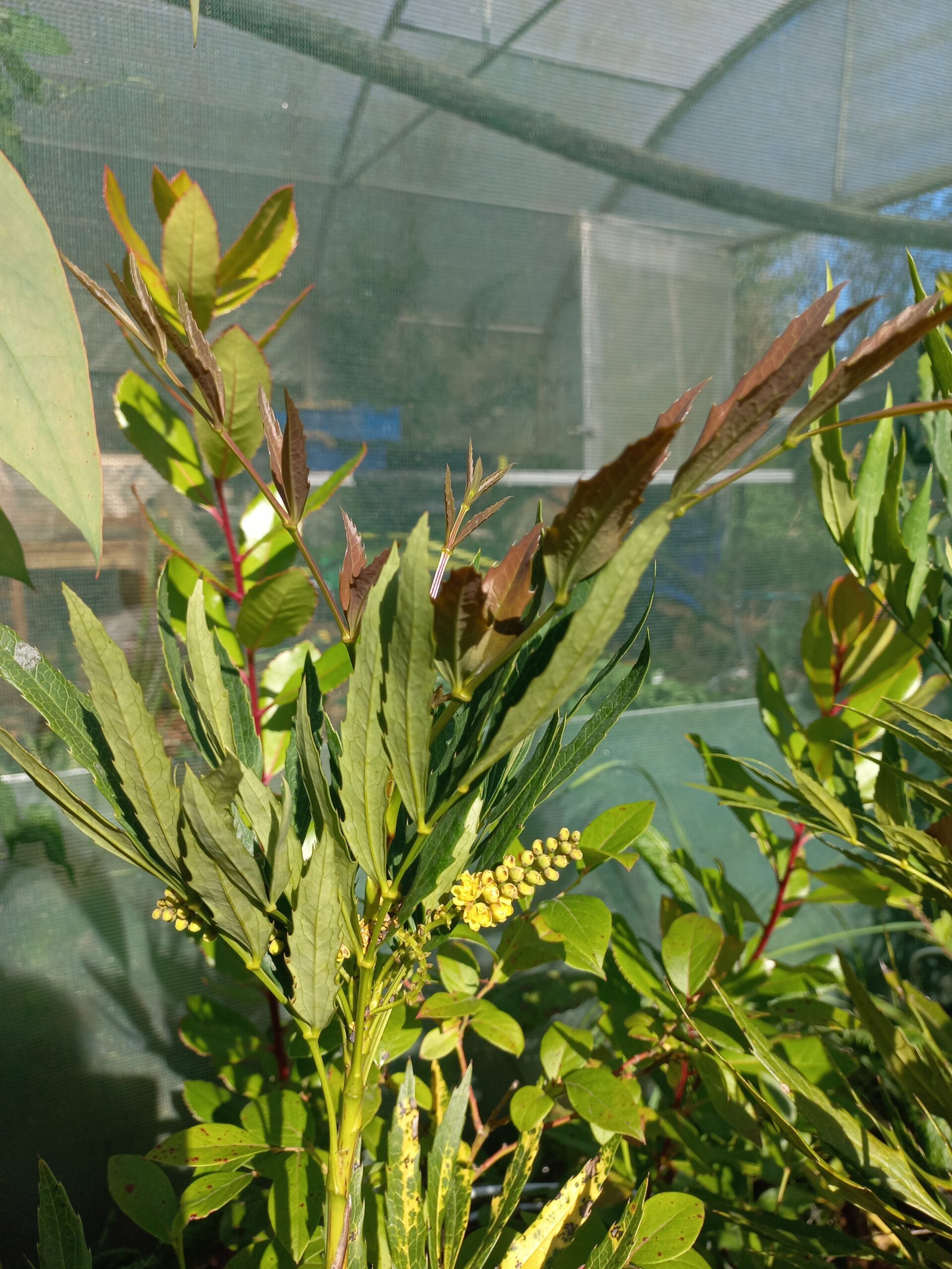 2025/09/JPEG_20250919_161955_8254664816743236645-scaled.jpg 2025/09/JPEG_20250919_161955_8254664816743236645-scaled.jpg